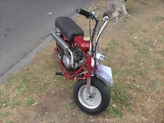 SDC17062 SDC17062
