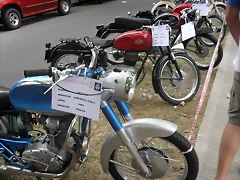 SDC17080 SDC17080
