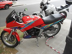 SDC17097 SDC17097