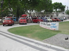 SDC17035 SDC17035