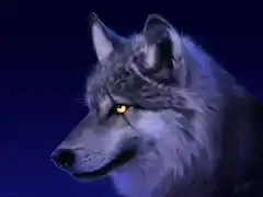 lobo