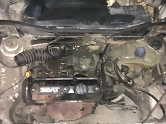 seat terra