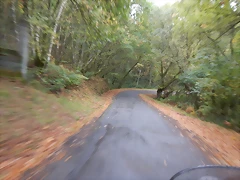 DSCN9168 DSCN9168