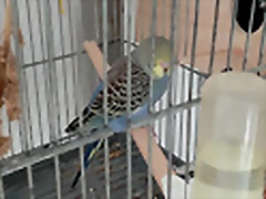 IMG_20250405_085451