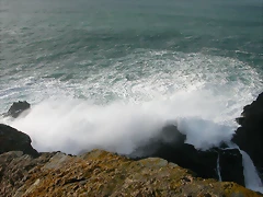 DSCN7585 DSCN7585