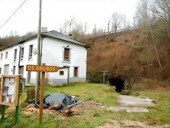 DSCN4798
