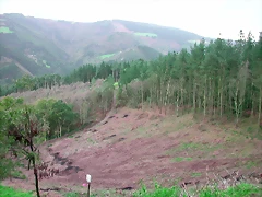 DSCN6292 DSCN6292