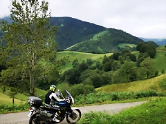 IMG_20180818_113919 IMG_20180818_113919