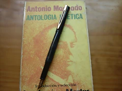 P1010598 P1010598