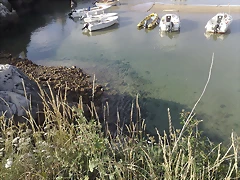 07082010597 07082010597