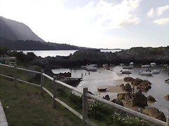 07082010591 07082010591