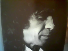 camarrron de la isla
