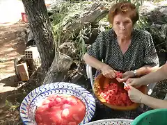 008, picando tomates 2