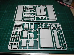 DSCN5768