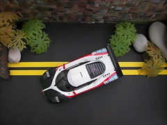 100_6807-1 100_6807-1