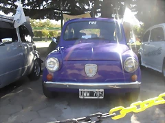 SDC12493 SDC12493