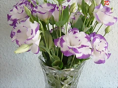 DSC04409