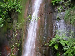 DSCN2225 DSCN2225