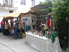 DSCN2204 DSCN2204