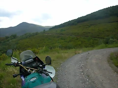 DSCN2248 DSCN2248