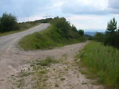 DSCN2253 DSCN2253