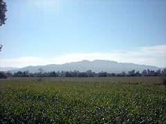 DSCN7750 DSCN7750
