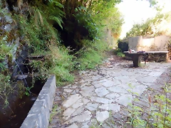 DSCN7790 DSCN7790