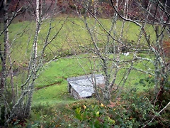 DSCN0982 DSCN0982