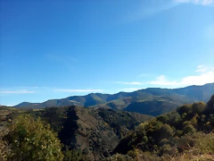 DSCN0246