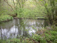 DSCN4174 DSCN4174