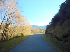 DSCN0194 DSCN0194