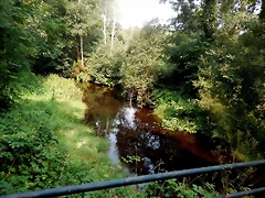 DSCN8483 DSCN8483