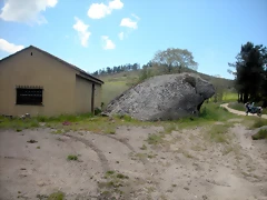 DSCN5387