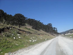 Vacaciones por el sur Neuquino enero 2012 156 - copia - copia