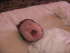 SANY0132 SANY0132