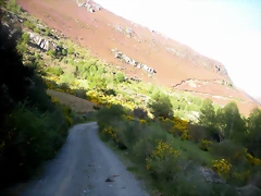 DSCN5148 DSCN5148