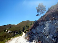 DSCN4638 DSCN4638