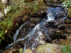 DSCN7878 DSCN7878