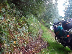 DSCN5311 DSCN5311