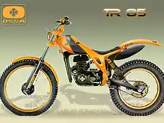 OSSA TR 85