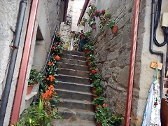 DSCN9863 DSCN9863