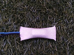 IMG_20210922_185333_750 IMG_20210922_185333_750