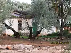 05, cortijo de caballo, marca