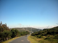 DSCN6553 DSCN6553