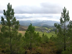 DSCN7160 DSCN7160