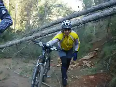 btt de verdad