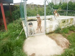 DSCN6525 DSCN6525