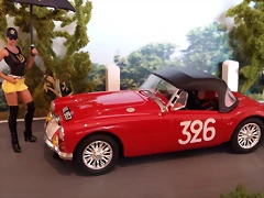 MG A 1956 ALPES MITCHELL