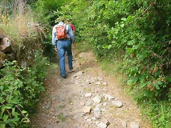 DSCN3817 DSCN3817