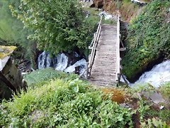 DSCN9146 DSCN9146